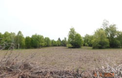 15880 Potter Road, Kaleva, MI 49645
