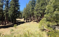 300 Peppergrass Lane, Portola, CA 96121-0000