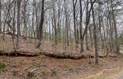 0 Green Oak Circle, Thomaston, GA 30286