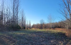 0 Kelley (30+/- Acres) Lane, Jonesburg, MO 63351