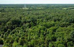 11326 ROGUES ROAD, MIDLAND, VA 22728