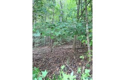 1930 Lookout Mountain Drive, Scottsboro, AL 35769