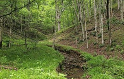 123 Charleston Road, Spencer, WV 25276