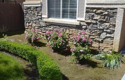 1756 N Holly Avenue, Clovis, CA 93619
