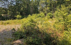 234 Bolton Hill Road, Augusta, ME 04330