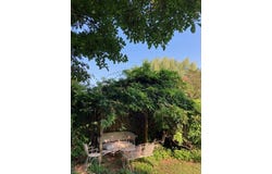 206 Phillips Court, Owensboro, KY 42303