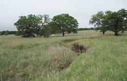 Tr 4 FM 2190, Jacksboro, TX 76458