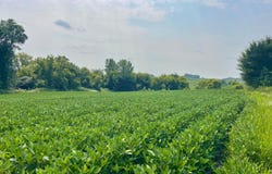 Dodd Road, Kilkenny, MN 56057