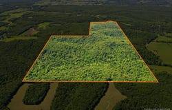 Angus Road, Edwards, MO 65326