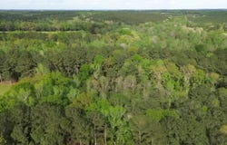 5530 County Road 33, Ozark, AL 36360