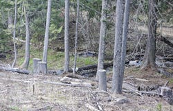 NKA Alder Way, St. Maries, ID 83861