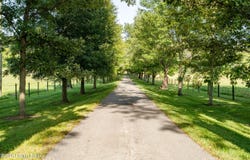 7909 Rose Island Rd, Prospect, KY 40059