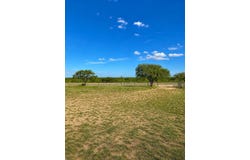 3100 FM 1929, Voss, TX 76888