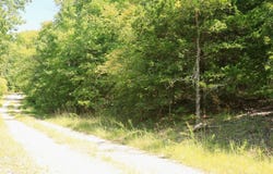 1215 Red Bird Lane, Horseshoe Bend, AR 72512