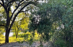 622 Cypress Drive, May, TX 76857