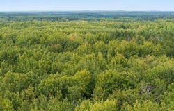 Sandbar Lane lot: I, Merrifield, MN 56465