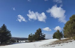 5850 Deer Run Trail, Harbor Springs, MI 49740