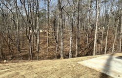 76 Kildeer Lane, Monticello, GA 31064