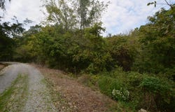 886 River Hill Drive, Richmond, KY 40475