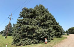 43055 Foxtail Road, Ainsworth, NE 69210