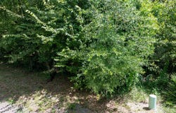 TBD SW NEBRASKA TERRACE, Fort White, FL 32038