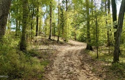 01 Abernathy Road, Flora, MS 39071