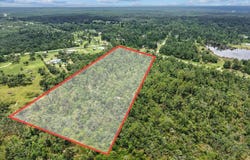 Spring Warrior Road, Keaton Beach, FL 32348