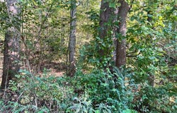 9405 Jim Hill Road, Henderson, WV 25106