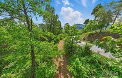 000 Silverglen Way, Hendersonville, NC 28792