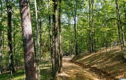 HILL TOP LANE lot: 1, LEEDS, AL 35094