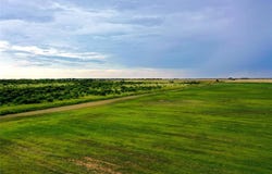 Tbd CR 463, Rule, TX 79547