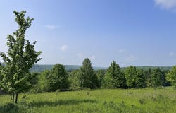1943 State Route 10, Jefferson, NY 12093
