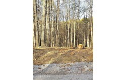248 Norman Rd, Powell, TN 37849