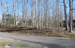 905 EASTOVER PARKWAY, LOCUST GROVE, VA 22508