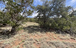Lot 162 Forest Acres, Seligman, AZ 86337