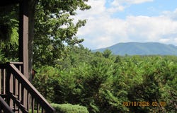 1695 Cane Creek Mountain Rd, Tellico Plains, TN 37385