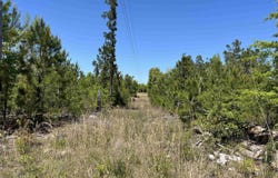 TBD Preserver Road, NEESES, SC 29107