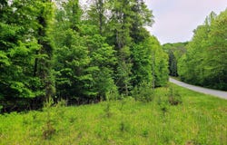 Lot 23 MOSS MEADOWS DR, Pittsville, VA 24139