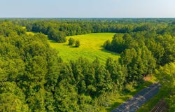 0 Two Church Road, Bowman, SC 29018