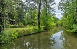 134 Drayton Lane, Vienna, GA 31092