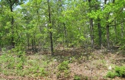 Gin Mill Road, Ash Flat, AR 72513