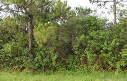"17992" 94th Street N, Loxahatchee, FL 33470