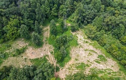 901 Right Fork Buffalo Creek Road, Huntington, WV 25704