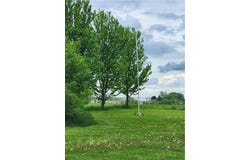 1580 Gray Road, Ledyard, NY 13160