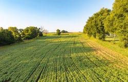 000 E 241st Street Lot:AHLC 20, Clevelenad, MO 64734