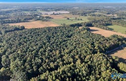 20 Acres Little Coffman Road, Lester, AL 35647
