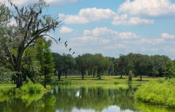 TBD SE 157TH STREET RD, SUMMERFIELD, FL 34491