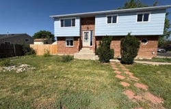 4282 Peach Tree Ct, Loveland, CO 80538