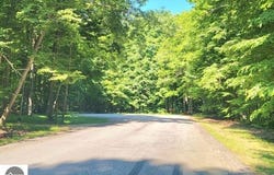 2746 Haushen Lane, Bellaire, MI 49615