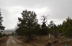 Old Well lot: 216 And 217, Candy Kitchen, NM 87357